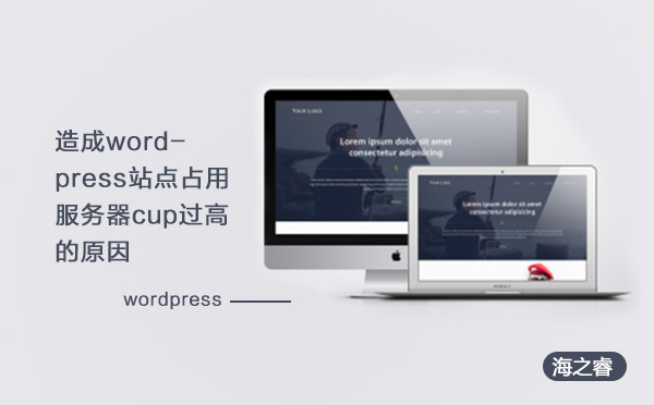 造成wordpress站點(diǎn)占用服務(wù)器cup過(guò)高的原因